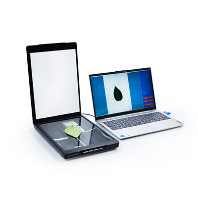 Root system image analyzer opens a new window for plant underground research