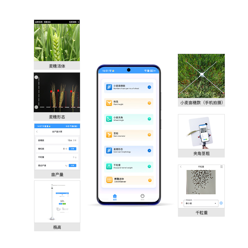 Wheat Phenotyping Instrument Opens the Data Eye for Crop Research and Breeding